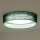 Duolla - LED Griestu lampa ROLLER LED/24W/230V d. 45 cm zaļa
