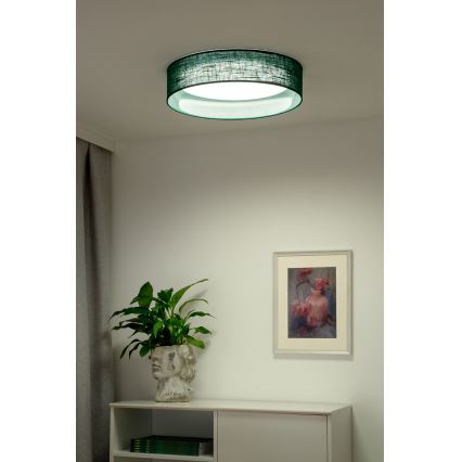Duolla - LED Griestu lampa ROLLER LED/24W/230V d. 45 cm zaļa