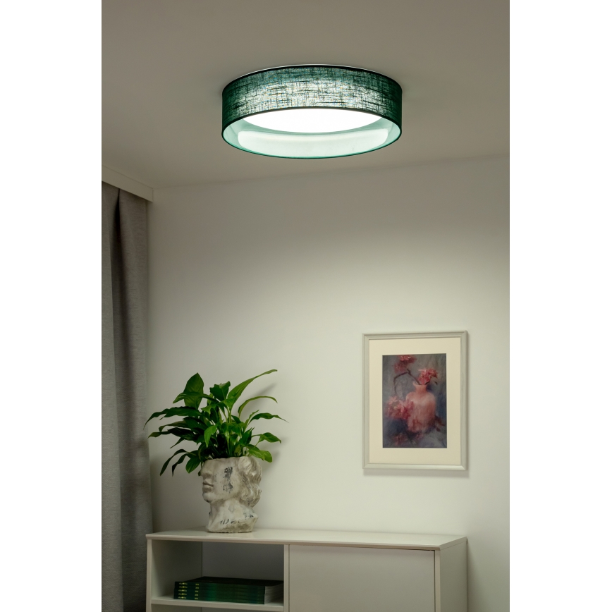 Duolla - LED Griestu lampa ROLLER LED/24W/230V d. 45 cm zaļa