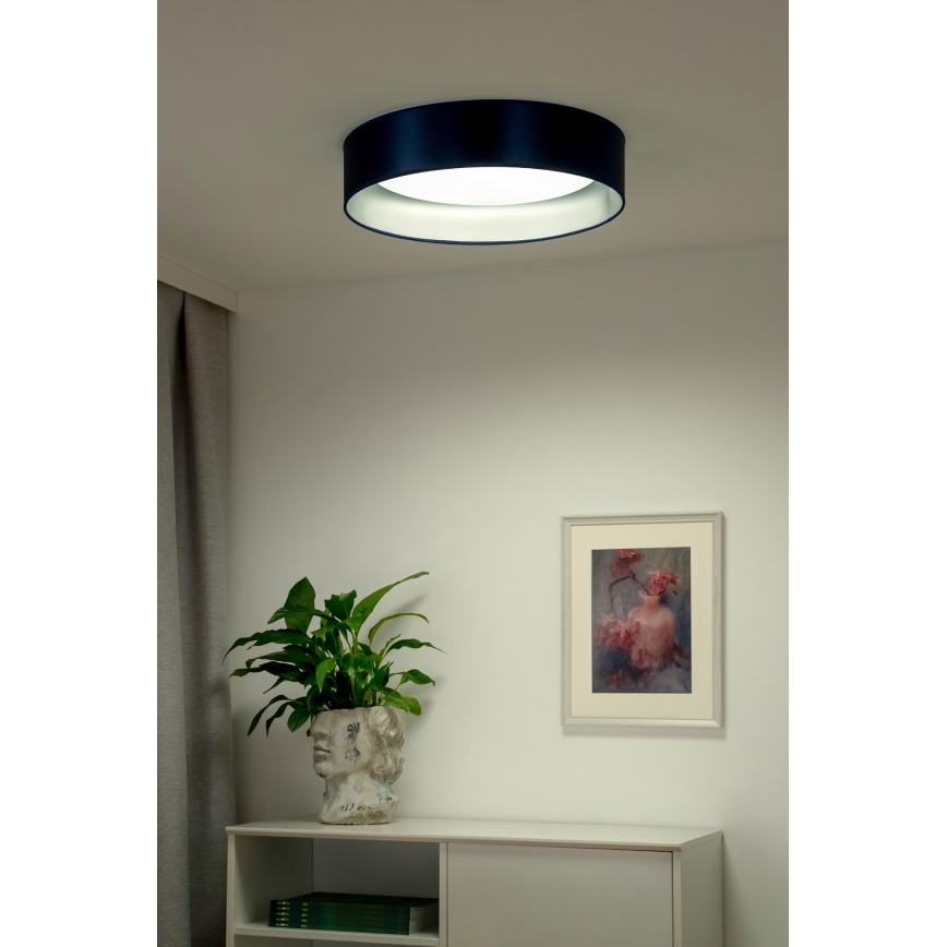 Duolla - LED Griestu lampa ROLLER LED/24W/230V d. 45 cm zila/sudraba