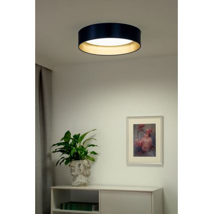 Duolla - LED Griestu lampa ROLLER LED/24W/230V d. 45 cm zila/zelta