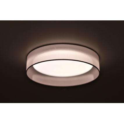 Duolla - LED Griestu lampa ROLLER LED/24W/230V lampa d. 45 cm pelēka