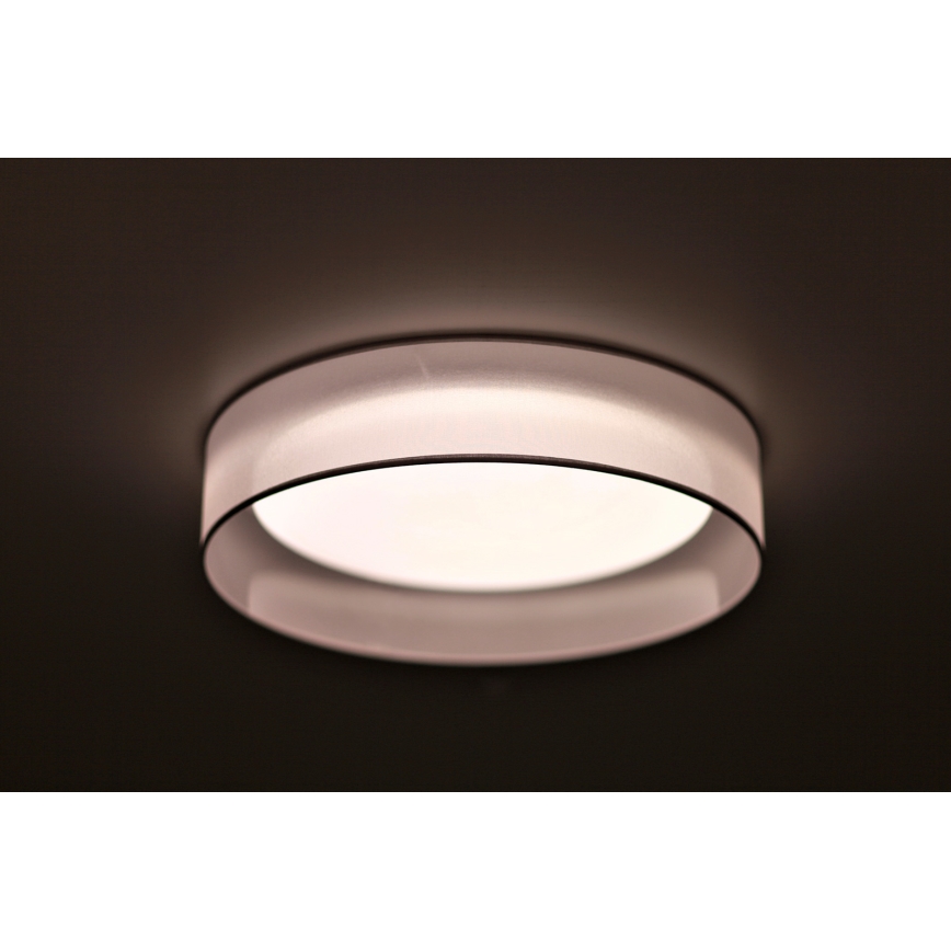 Duolla - LED Griestu lampa ROLLER LED/24W/230V lampa d. 45 cm pelēka