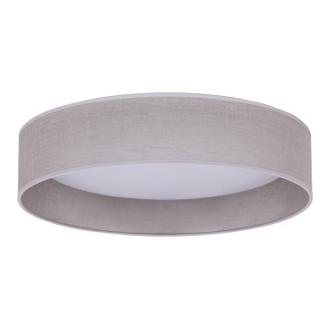 Duolla - LED Griestu lampa ROLLER LED/24W/230V lampa d. 45 cm pelēka