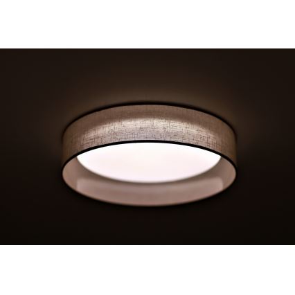 Duolla - LED Griestu lampa ROLLER LED/24W/230V lampa d. 45 cm pelēka