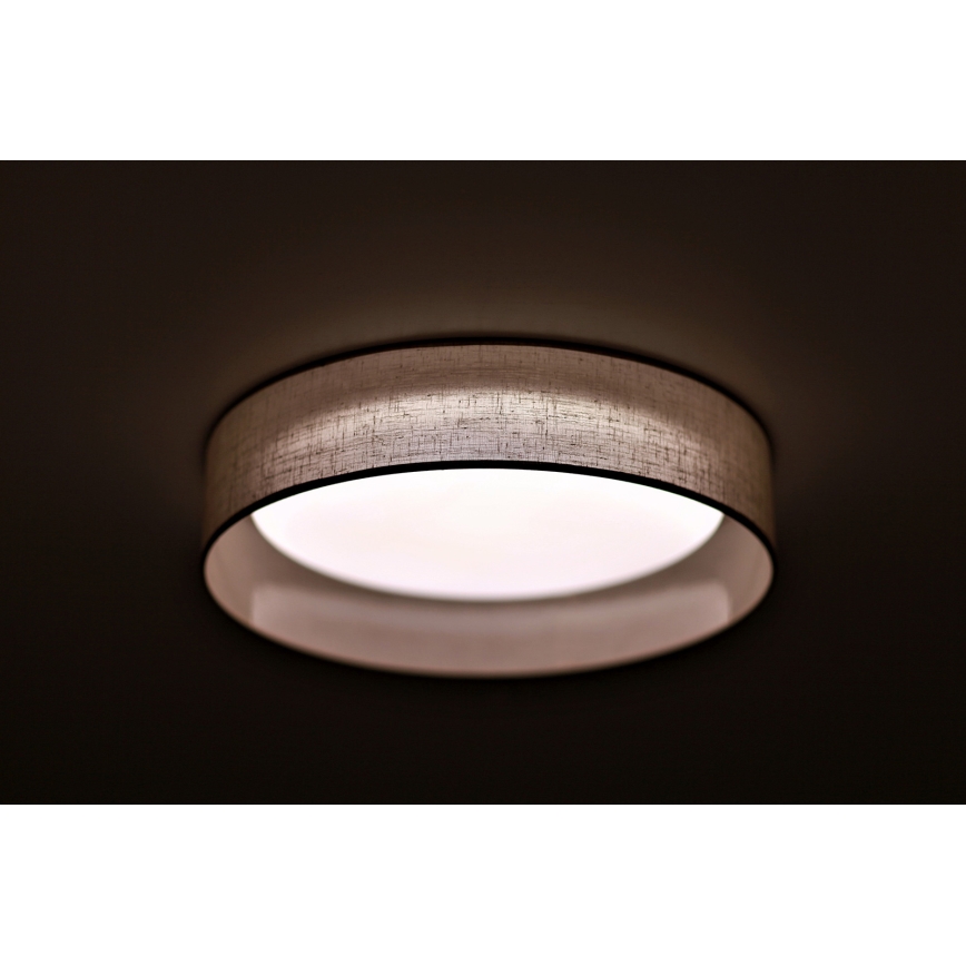 Duolla - LED Griestu lampa ROLLER LED/24W/230V lampa d. 45 cm pelēka