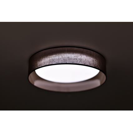 Duolla - LED Griestu lampa ROLLER LED/24W/230V tumša d. 45 cm brūna