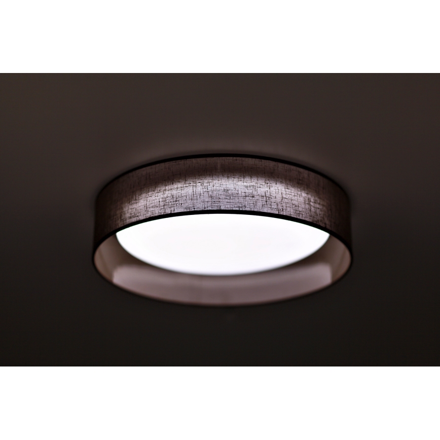 Duolla - LED Griestu lampa ROLLER LED/24W/230V tumša d. 45 cm brūna