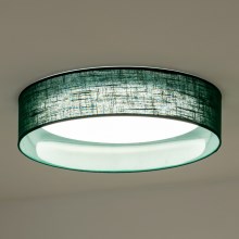 Duolla - LED Griestu lampa ROLLER LED/24W/230V zaļa