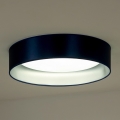 Duolla - LED Griestu lampa ROLLER LED/24W/230V zila/sudraba