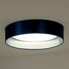 Duolla - LED Griestu lampa ROLLER LED/24W/230V zila/sudraba
