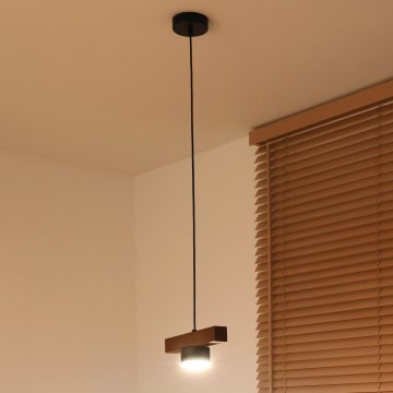 Duolla - Lustra uz kabeļa IRONLINE 1xGX53/3W/230V priede/ozols/melns