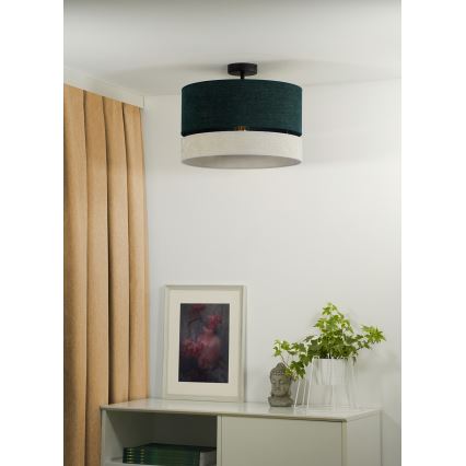Duolla - Virsapmetuma lustra DOUBLE 1xE27/15W/230V d. 40 cm zaļa/pelēka