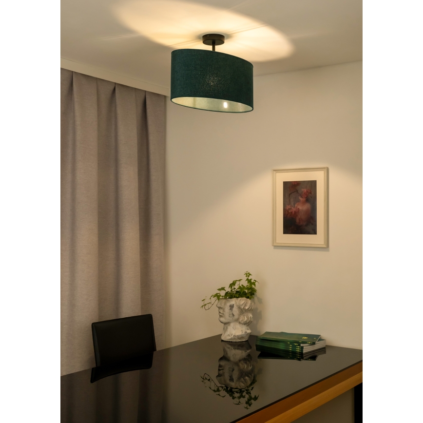 Duolla - Virsapmetuma lustra OVAL 1xE27/15W/230V zaļa