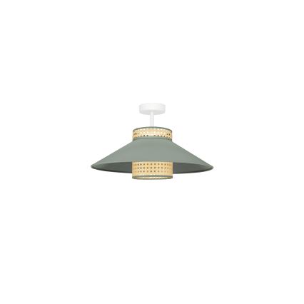 Duolla - Virsapmetuma lustra RIO RATTAN 1xE27/15W/230V d. 45 cm zaļa/rotanga