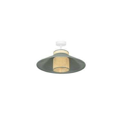 Duolla - Virsapmetuma lustra RIO RATTAN 1xE27/15W/230V d. 45 cm zaļa/rotanga