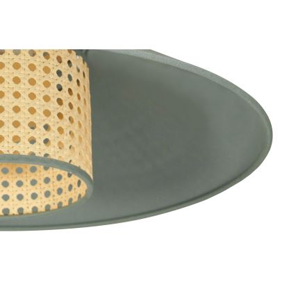 Duolla - Virsapmetuma lustra RIO RATTAN 1xE27/15W/230V d. 45 cm zaļa/rotanga