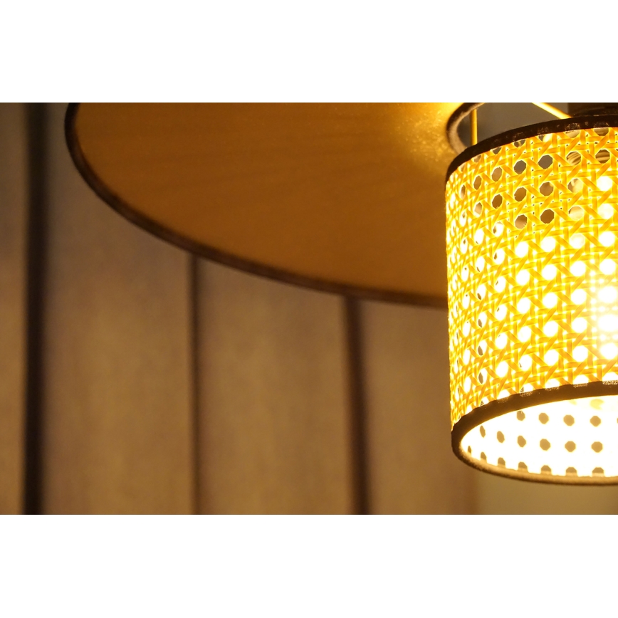 Duolla - Virsapmetuma lustra TOKYO RATTAN 1xE27/15W/230V d. 50 cm zelta/rotanga