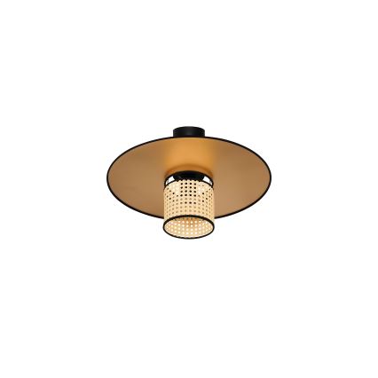 Duolla - Virsapmetuma lustra TOKYO RATTAN 1xE27/15W/230V d. 50 cm zelta/rotanga