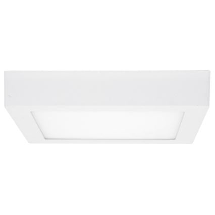LED Griestu lampa RAFA LED/12W/230V 3000/4000/6000K 17x17 cm balta