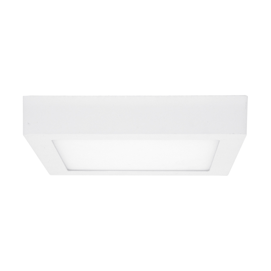 LED Griestu lampa RAFA LED/12W/230V 3000/4000/6000K 17x17 cm balta