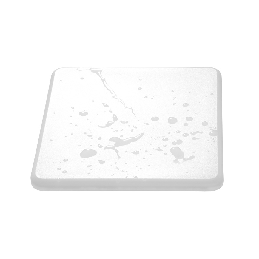 LED Vannas istabas piekaramo griestu gaismeklis ROXY LED/22W/230V IP66