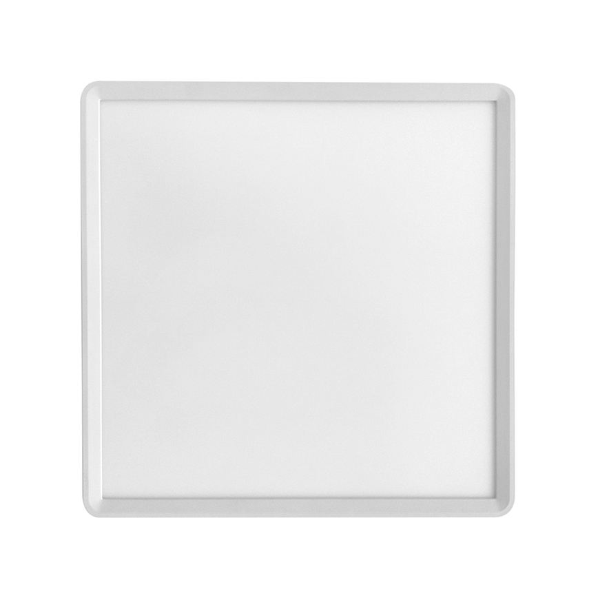 LED Griestu lampa TERY LED/24W/230V 3000/4000/6000K 30x30 cm IP40 balta