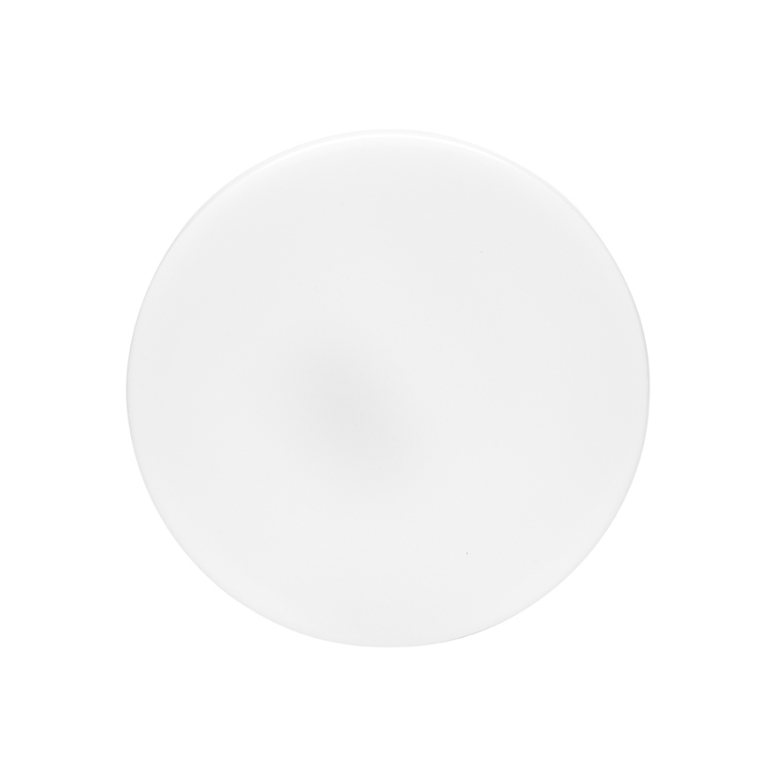 LED Vannas istabas griestu lampa LIRA LED/12W/230V 4000K d. 24 cm IP44