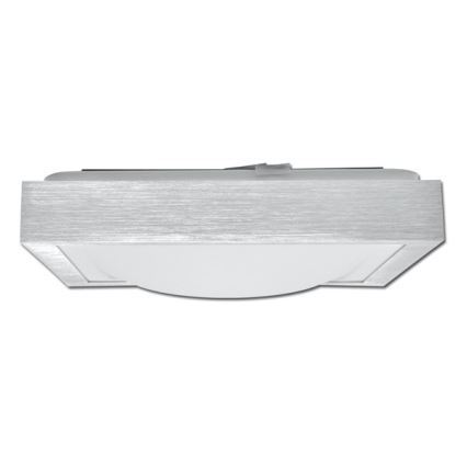 Āra LED griestu gaismeklis BELA LED/22W/230V IP44