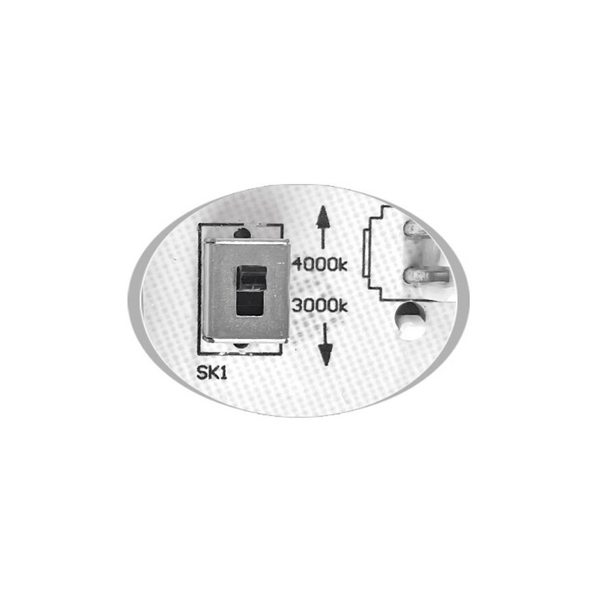 LED Vannas istabas griestu lampa MARTIN LED/15W/230V 3000/4000K d. 30 cm IP65 melna