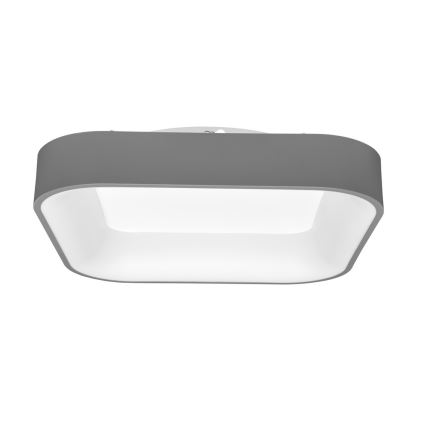 LED Aptumšojama griestu lampa NEST LED/40W/230V 3000-6500K pelēka + tālvadības pults