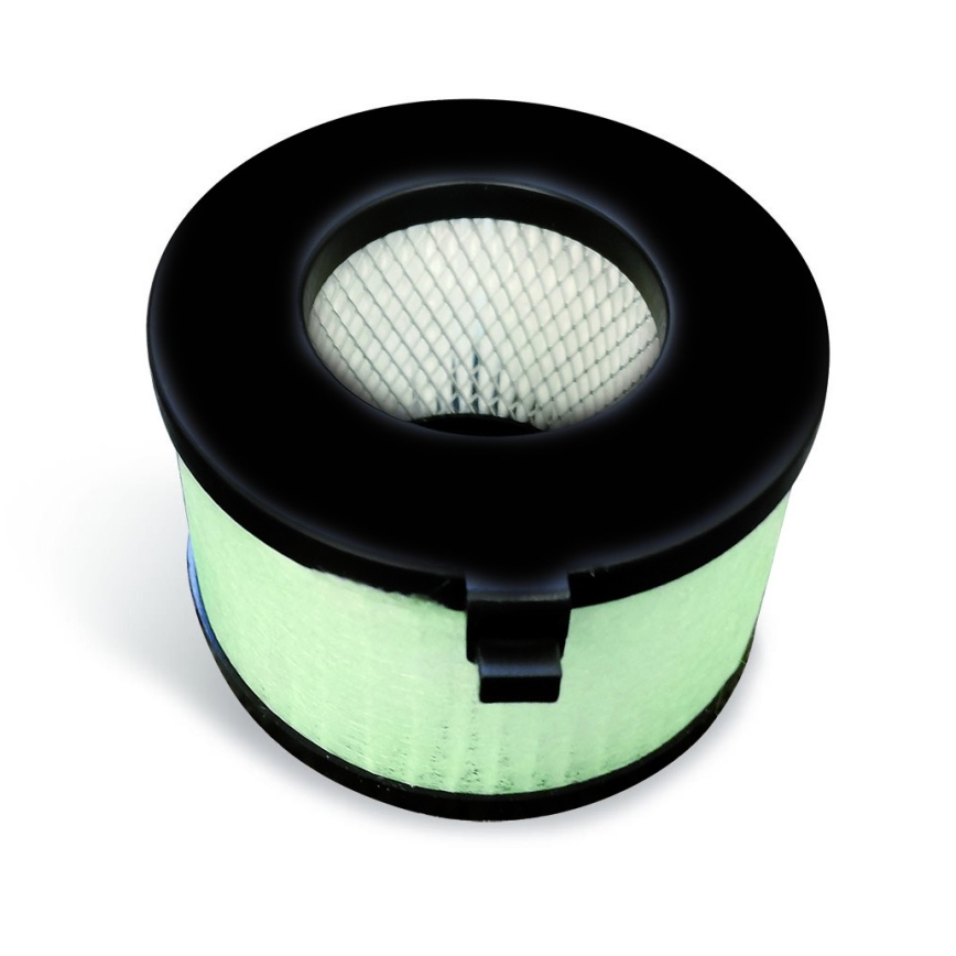 EcoStep 10305 - roku žāvētājs R4.1 720 W/230 V sudraba