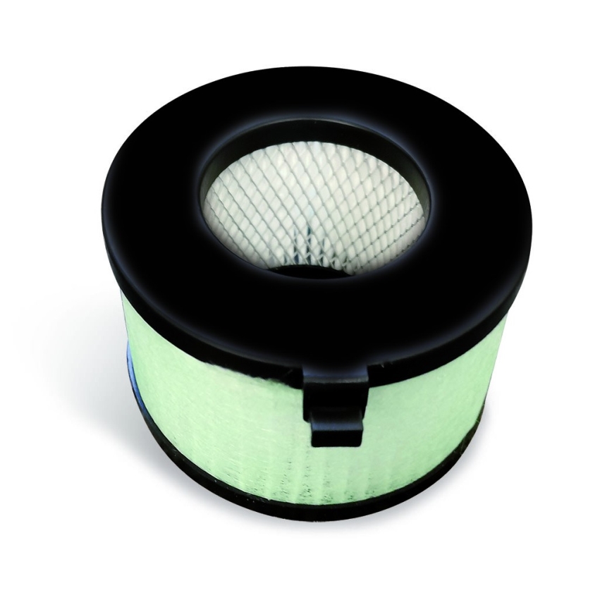 EcoStep 10306 - Roku žāvētājs R4.1 720W/230V grafīts