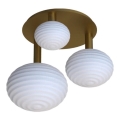Eglo 300498 - Virsmas griestu lustra ERCALTO 3xE27/25W/230V zelta