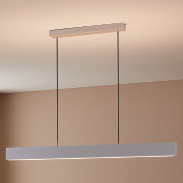 Eglo 31436 - LED RGBW Aptumšojuma lustra ar auklu ANDREAS-Z LED/38W/230V 2700-6500K balta