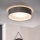 Eglo 31623 - LED griestu gaismeklis MASERLO LED/16W/230V 3000K Ø 40,5 cm pelēka/sudraba