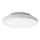 Eglo 31727 - LED RGBW Regulējams griestu gaismeklis TURCONA-Z LED/15,7W/230V balts