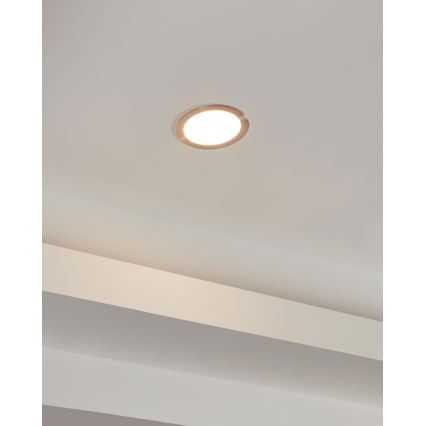 Eglo 31746 - LED Aptumšojama iegremdējama vannas istabas lampa FUEVA-Z LED/10,5W/230V 2700-6500K IP44 hroms