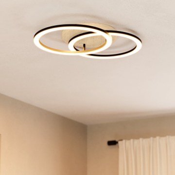 Eglo 31757 - LED griestu lampa LOMALTAS-Z 2xLED/16W/230V 2700-6500K