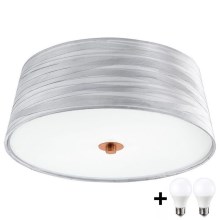 Eglo 32111- LED Griestu lampa FONSEA 1 2xE27/9W/230V sudraba/varš