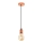Eglo 32541 - Lustra ar auklu YORTH 1xE27/60W/230V