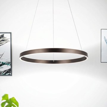 Eglo 33483 - ALCAZABA piekaramā LED lustra uz kabeļa, 2×LED/18W, 230V, 3000K, Ø 55 cm, bronzas krāsa