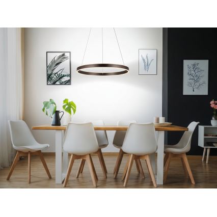 Eglo 33483 - ALCAZABA piekaramā LED lustra uz kabeļa, 2×LED/18W, 230V, 3000K, Ø 55 cm, bronzas krāsa