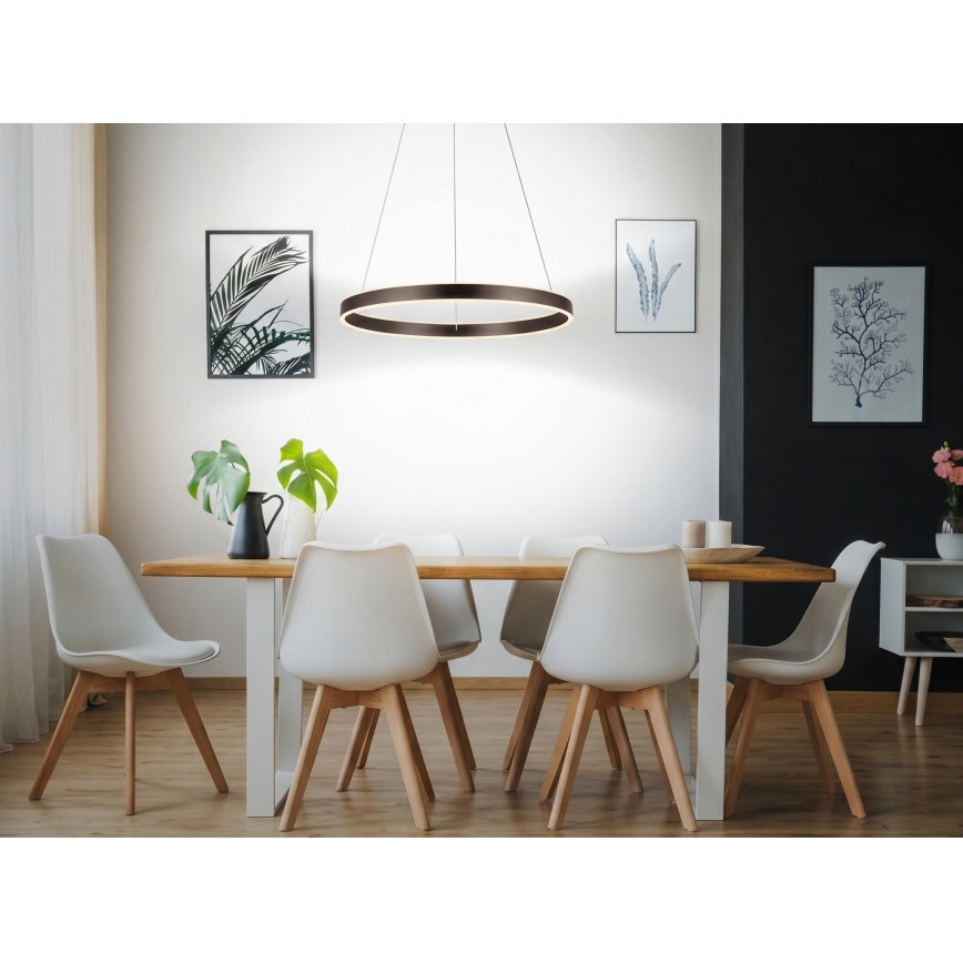 Eglo 33483 - ALCAZABA piekaramā LED lustra uz kabeļa, 2×LED/18W, 230V, 3000K, Ø 55 cm, bronzas krāsa