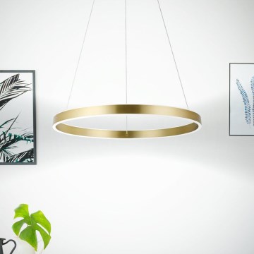 Eglo 33484 - LED lustra uz troses ALCAZABA, 2×LED/18W/230V, 3000K, Ø 55 cm, zelta