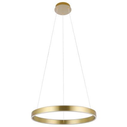 Eglo 33484 - LED lustra uz troses ALCAZABA, 2×LED/18W/230V, 3000K, Ø 55 cm, zelta