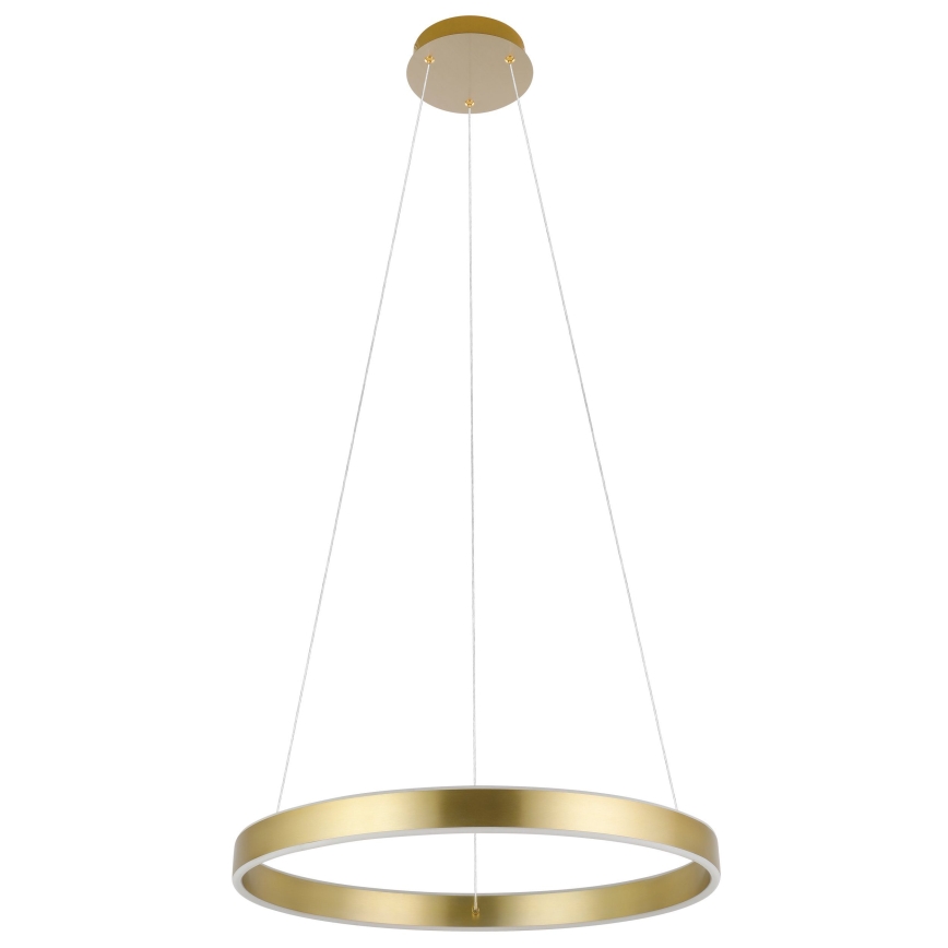 Eglo 33484 - LED lustra uz troses ALCAZABA, 2×LED/18W/230V, 3000K, Ø 55 cm, zelta