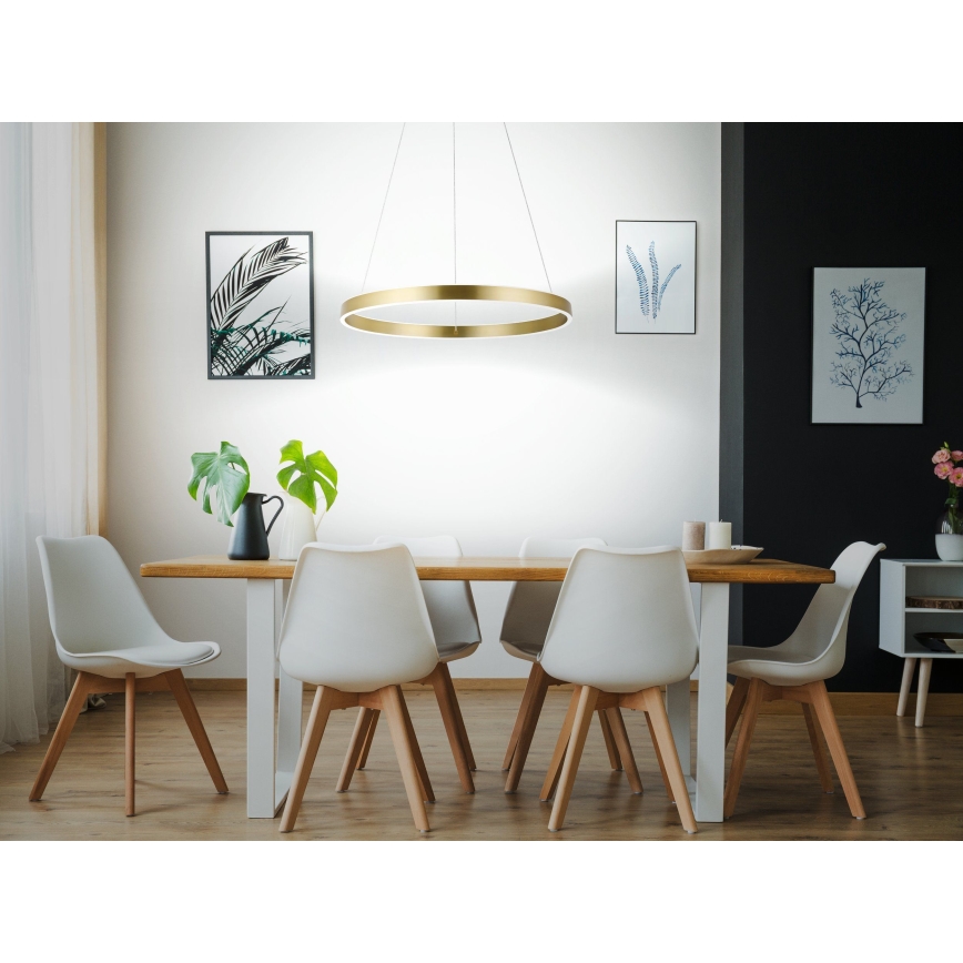 Eglo 33484 - LED lustra uz troses ALCAZABA, 2×LED/18W/230V, 3000K, Ø 55 cm, zelta