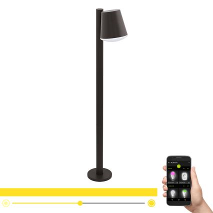 Eglo 33561 - LED dimmējama āra lampa CALDIERO-C 1xE27/9W/230V IP44 antracīts