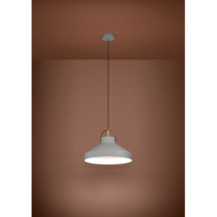 Eglo - Lustra ar auklu 1xE27/40W/230V pelēka